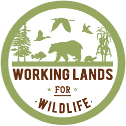 Working Lands for Wildlife